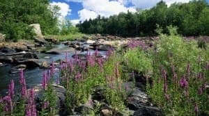ice-age-national-scenic-trail-chequamegon-national-forest-wisconsin